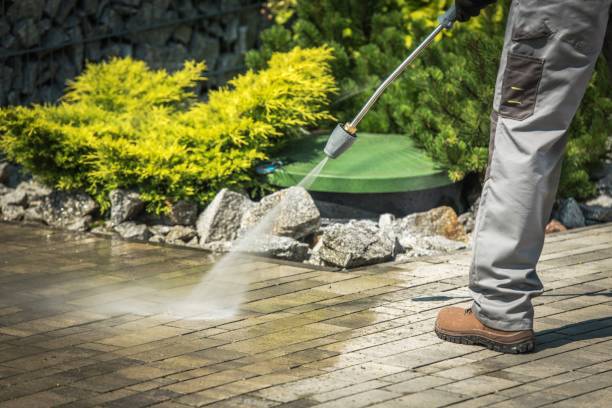 Professional Pressure Washing Services in Cape Coral, FL